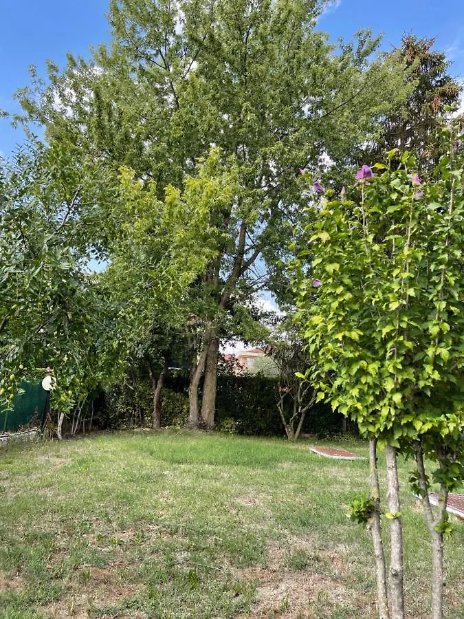 Apartment Only The Best 5 La Tua Suite Tra Venezia E Treviso San Trovaso Italy